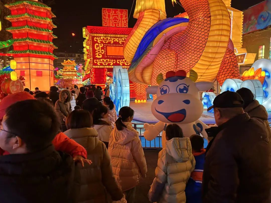 央視直播鄭州龍年燈會迎新春，花花牛品牌上大分
