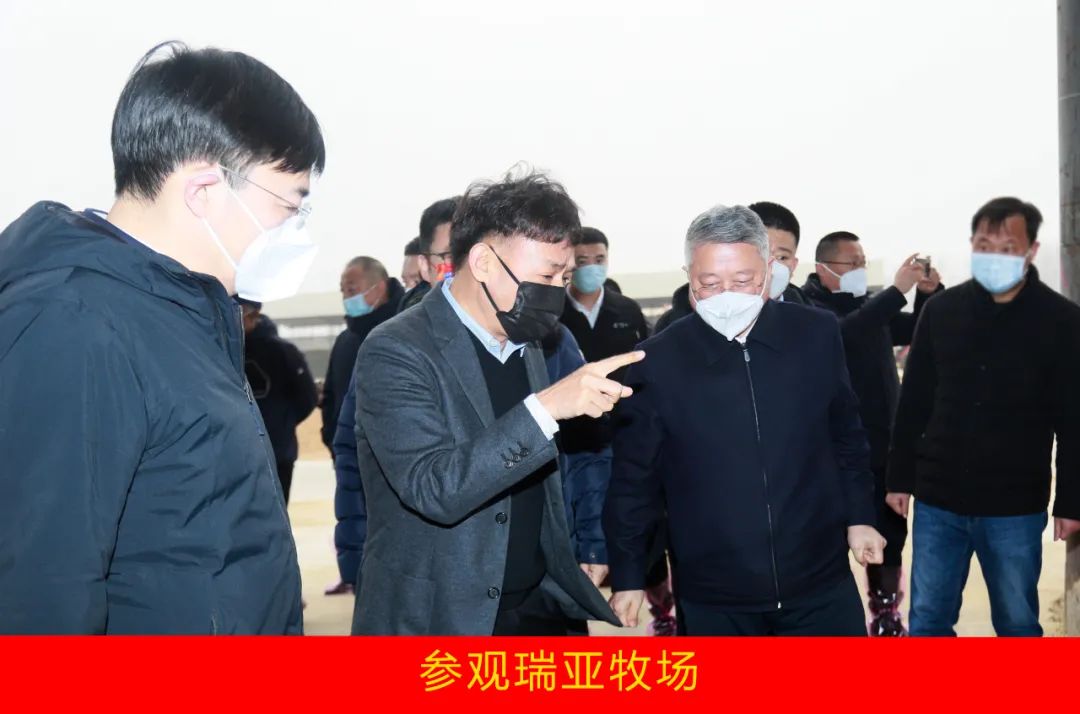 新年開新局 合作促發(fā)展丨佳木斯市委常委、副市長(zhǎng)閆志剛一行蒞臨花花牛乳業(yè)集團(tuán)及佳田企業(yè)考察座談