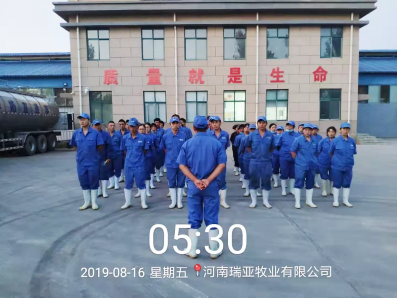 小晨會(huì)·大能量——砥礪奮進(jìn)的花花牛，加油！